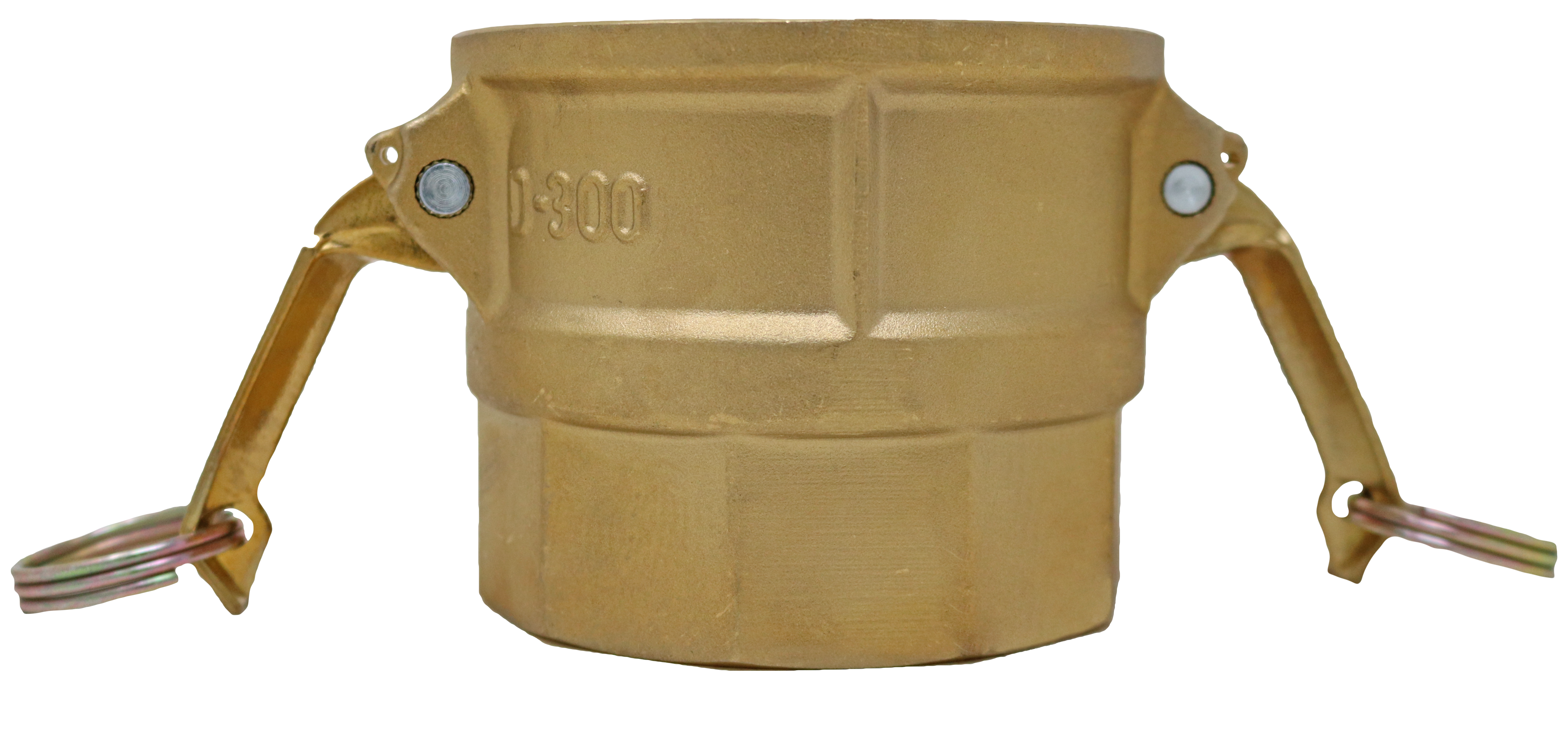 PT Coupling CF1200415 Coupler, 1-1/2 in Type D x 1-1/2 in FNPT, Brass